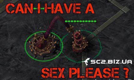 Can I have a sex please